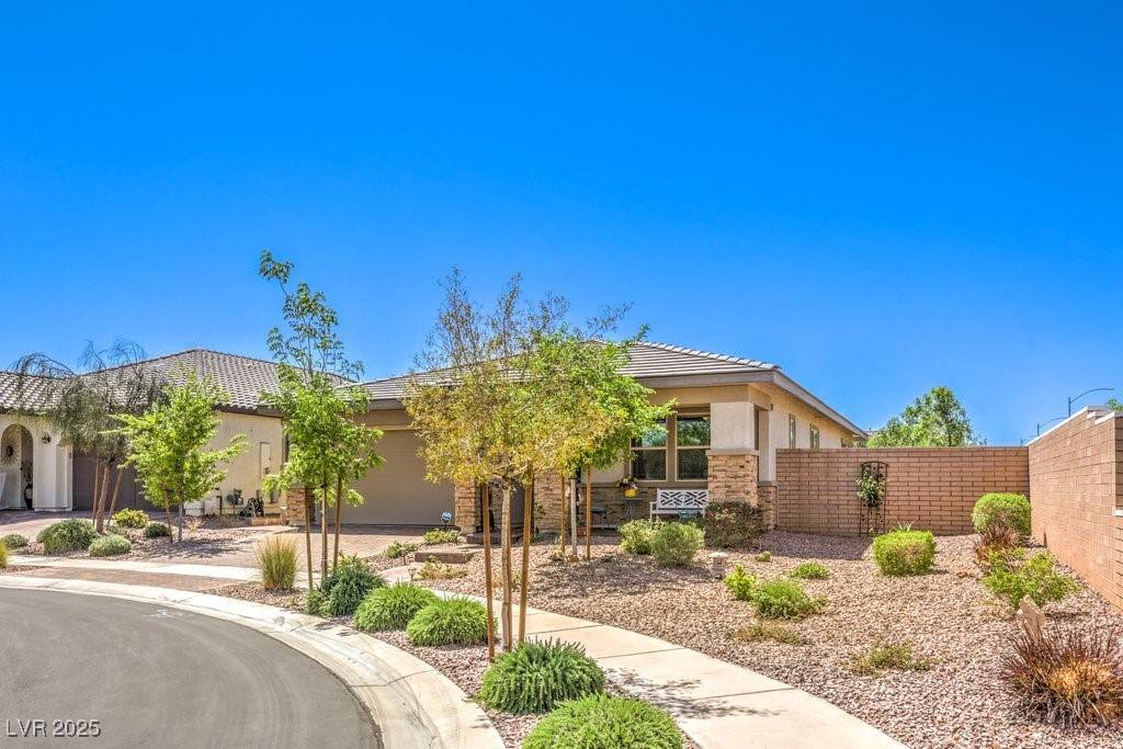 Henderson, NV 89011,797 Drammatico PL
