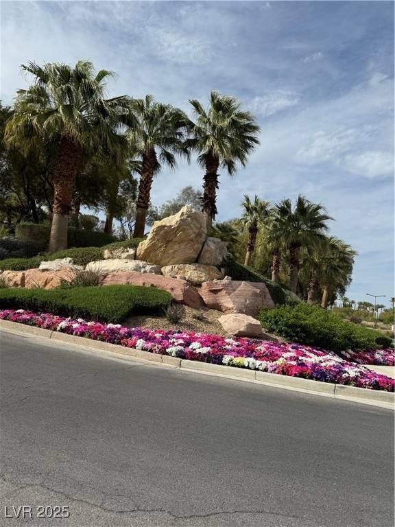 Las Vegas, NV 89135,11785 Discovery Canyon DR