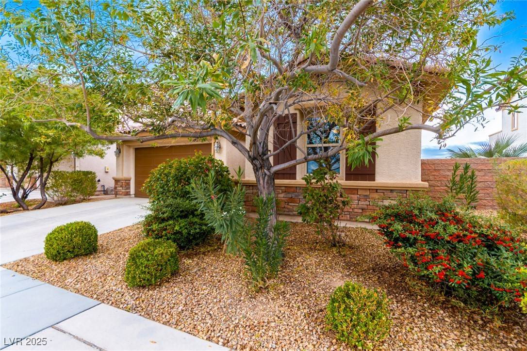 Henderson, NV 89011,1172 Via Della Costrella