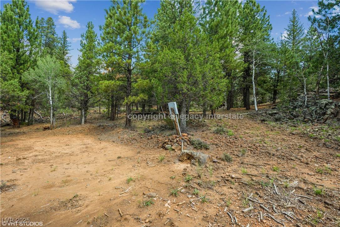 Mammoth Creek, UT 84735,937 E Black Rock CIR
