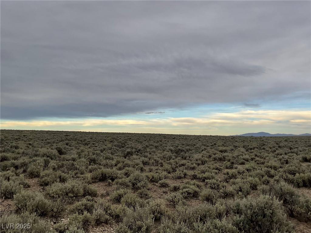 Other, NV 89835,160 Acres- Wells, NV