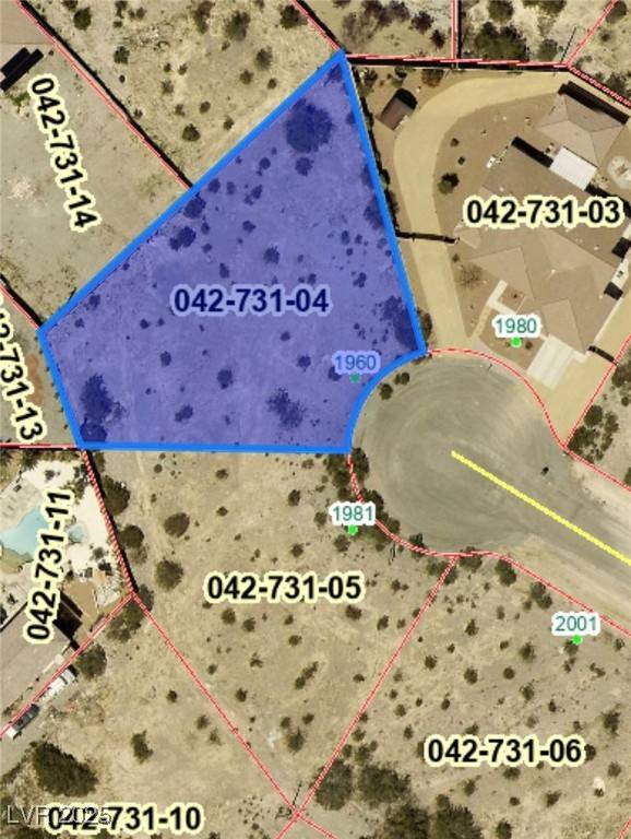 Pahrump, NV 89048,1960 S Blue LN