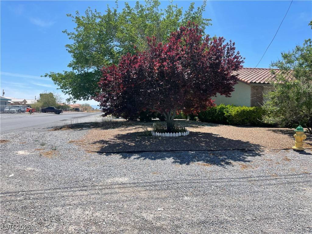 Pahrump, NV 89048,881 E Calvada BLVD