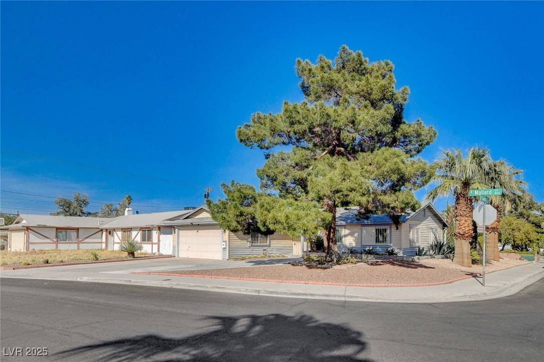Las Vegas, NV 89107,804 S Mallard ST