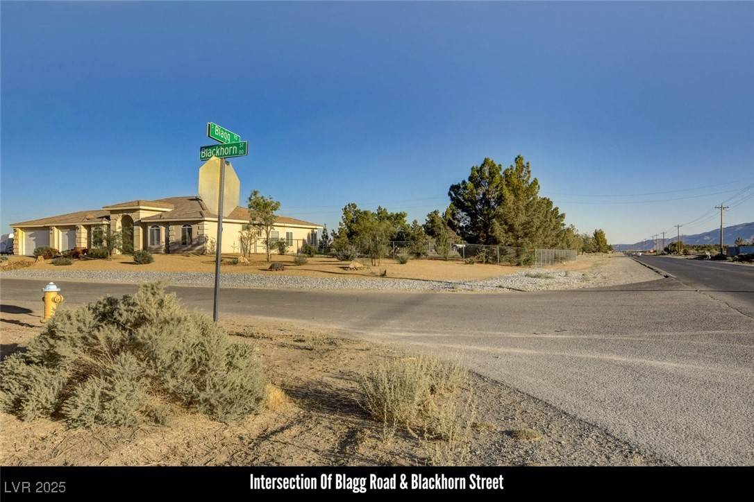 Pahrump, NV 89048,240 Blackhorn ST