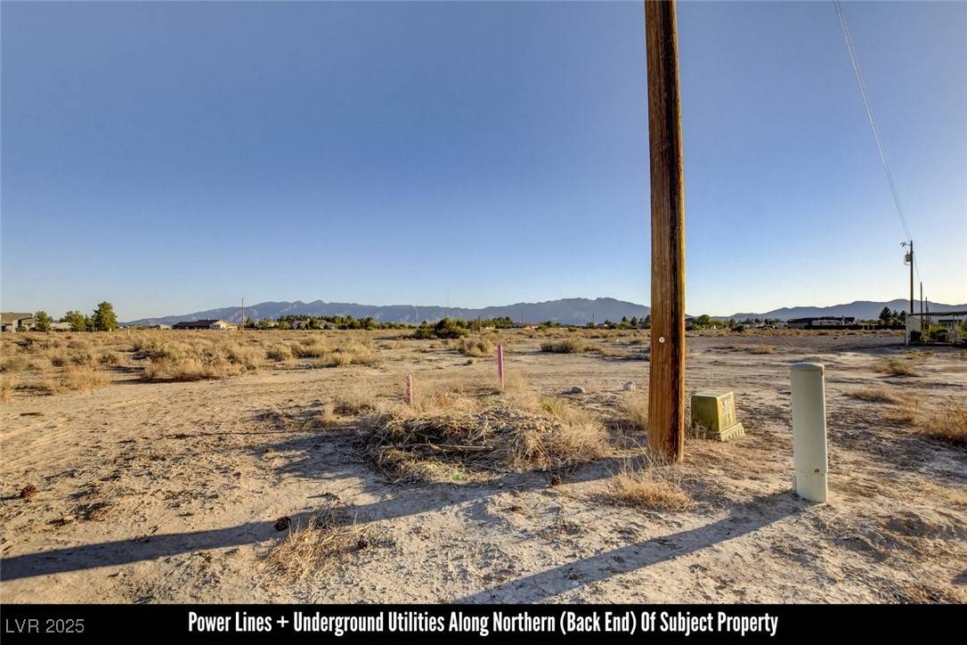 Pahrump, NV 89048,240 Blackhorn ST