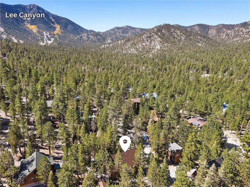 Mount Charleston, NV 89124,2160 Via Vita ST