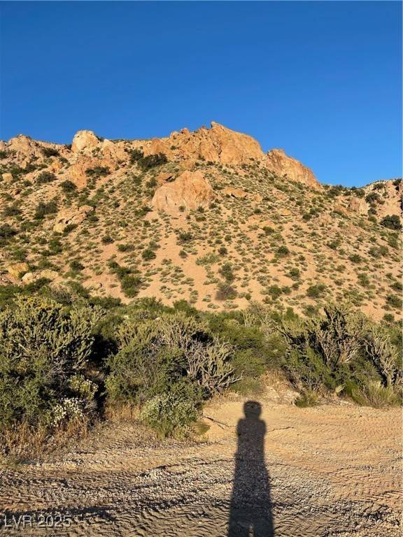 Caliente, NV 89008,Carp RD