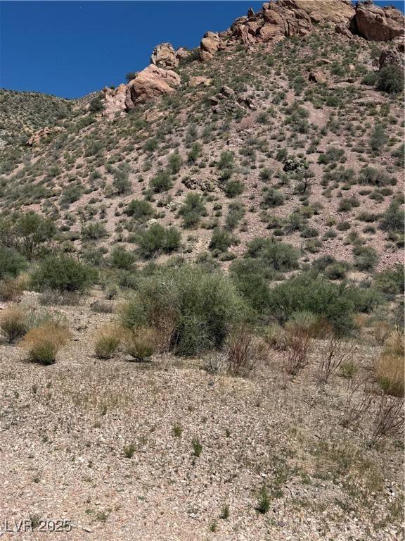 Caliente, NV 89008,Carp RD