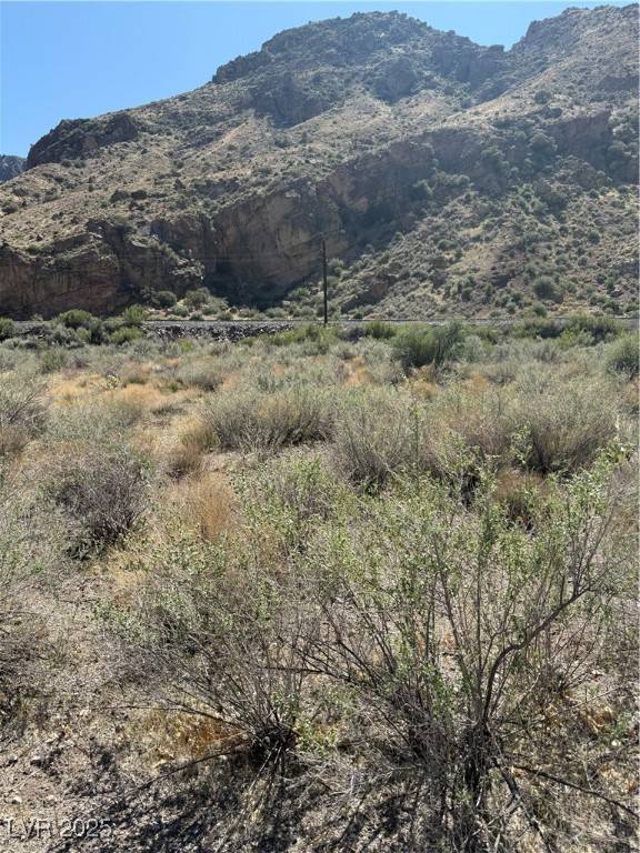Caliente, NV 89008,Carp RD