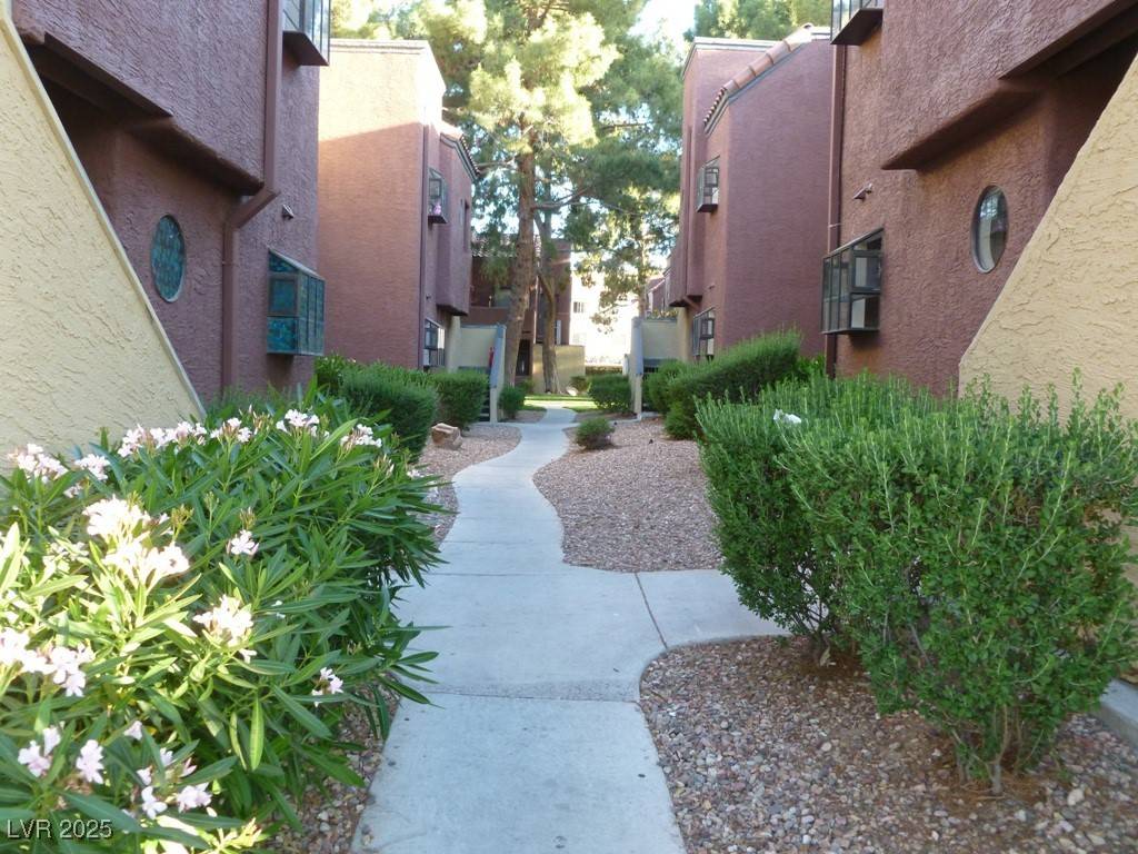 Las Vegas, NV 89121,4050 Pacific Harbors DR #136