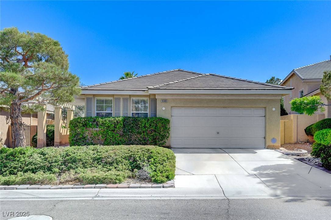 Las Vegas, NV 89135,10389 Walking View CT