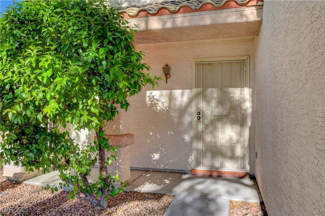 Las Vegas, NV 89131,7721 Sour Gum CT