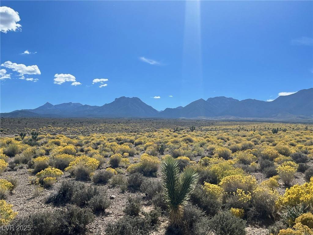 Cold Creek, NV 89124,Rudin Dr