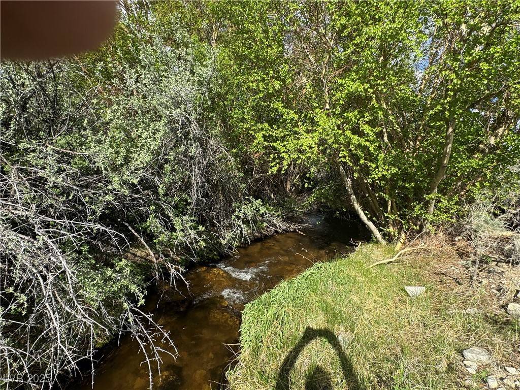 Dyer, NV 89010,325 Davis Meadow TRL