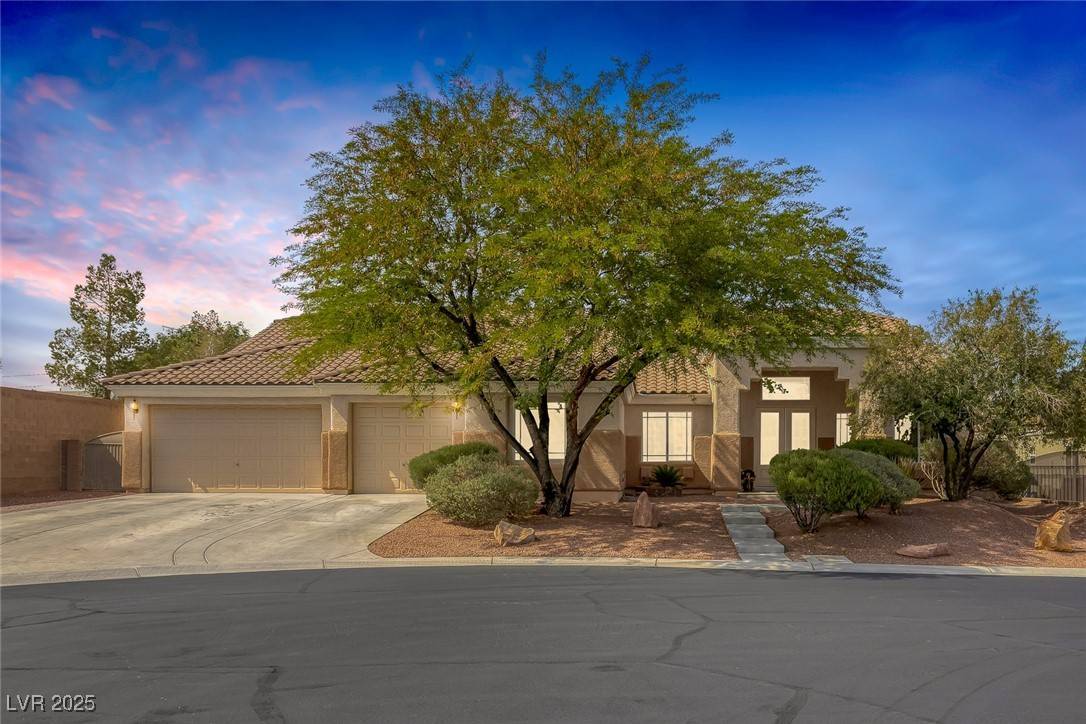 Las Vegas, NV 89131,8356 Shady Lady CT