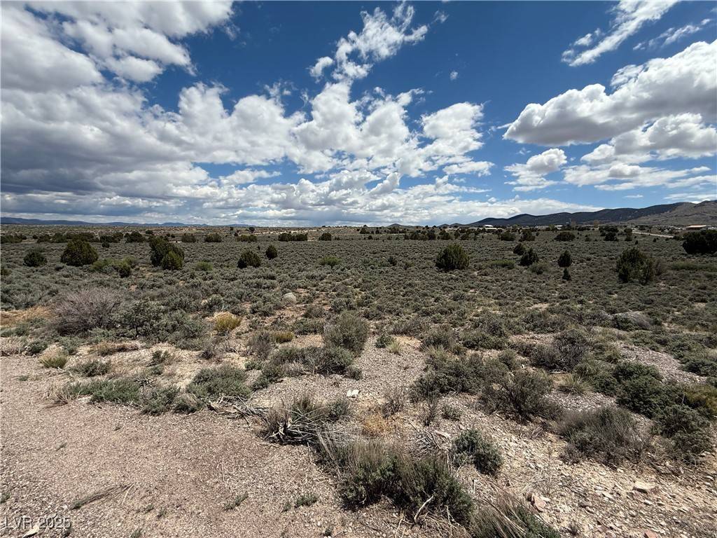 Pioche, NV 89043,Hickory