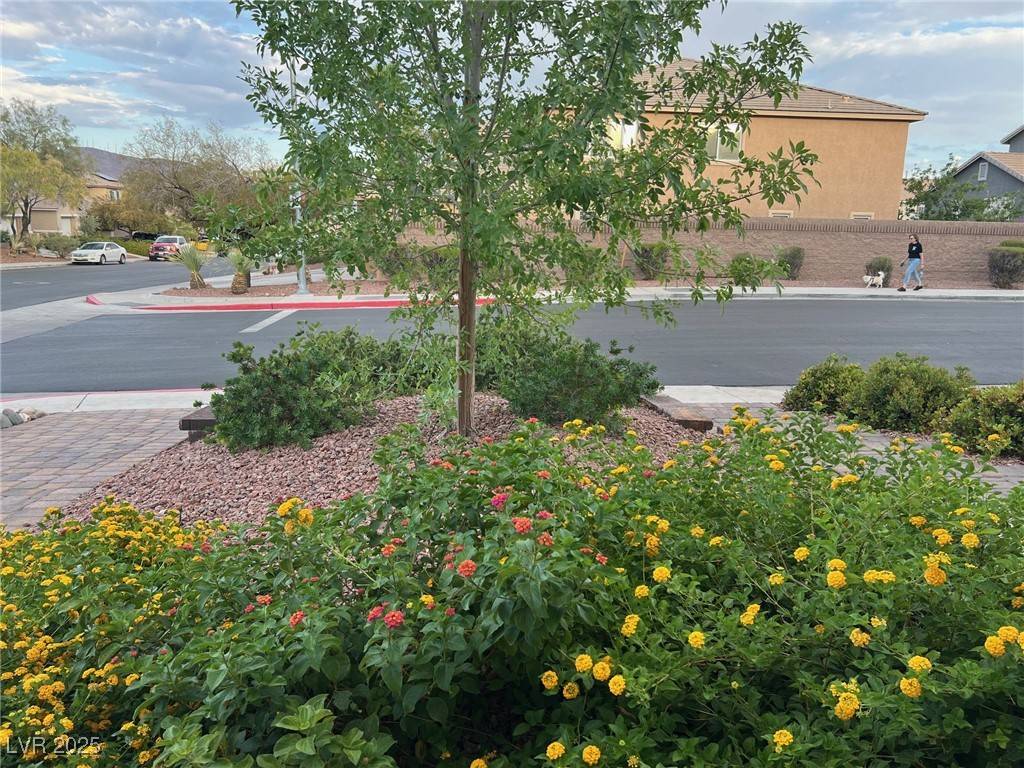 Henderson, NV 89015,368 Misty Moonlight ST