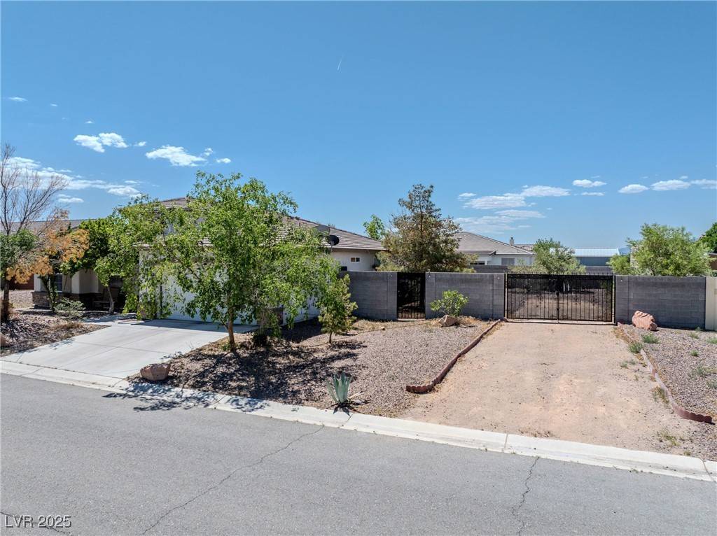 Pahrump, NV 89060,565 Mazelle LN