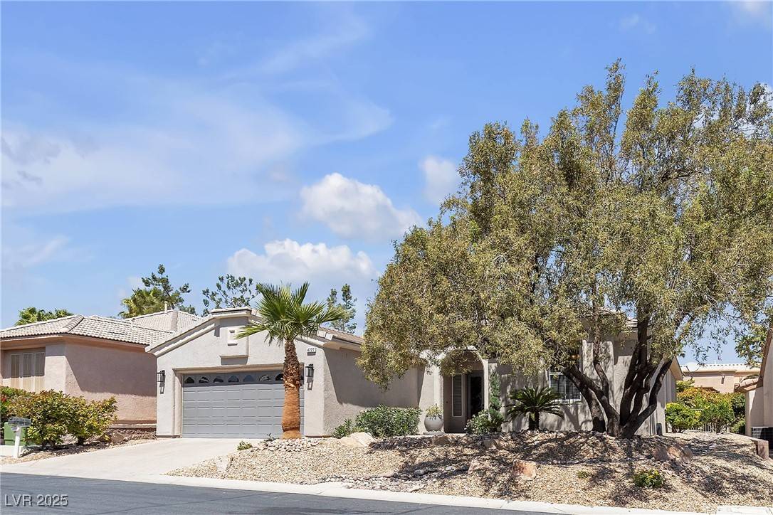 Las Vegas, NV 89135,4227 Pacifico LN