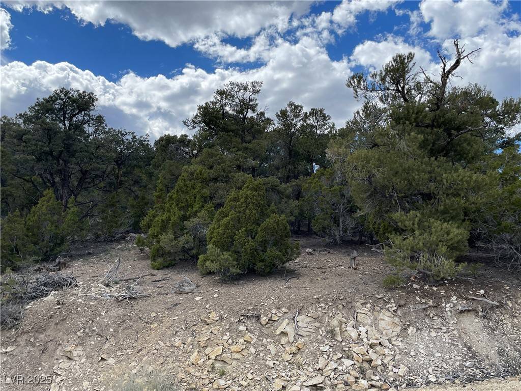 Ely, NV 89301,175 E Ward Mountain DR