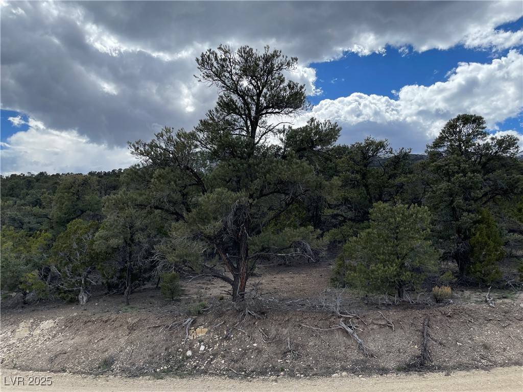 Ely, NV 89301,175 E Ward Mountain DR