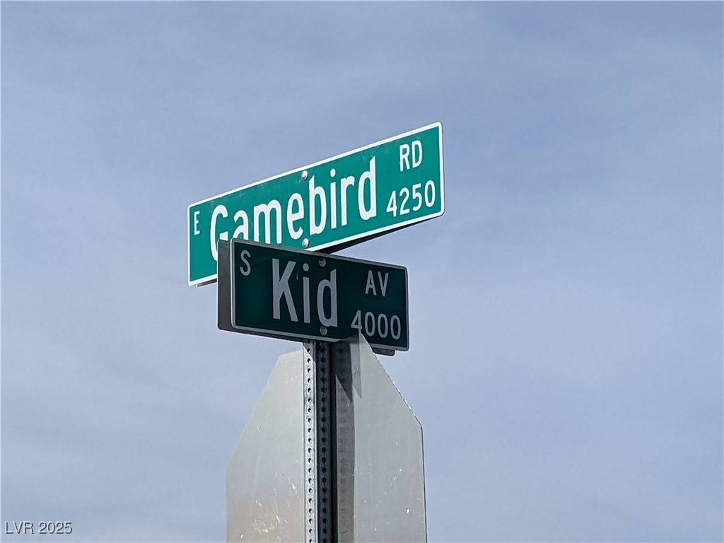 Pahrump, NV 89048,3950 S Kid AVE