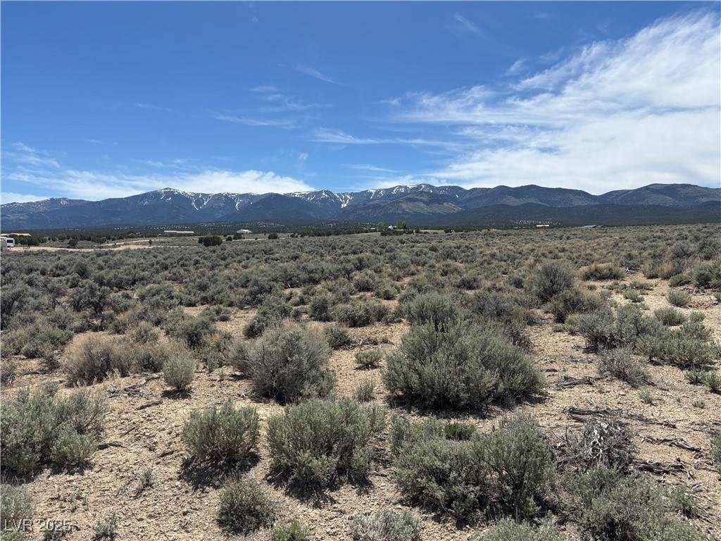 Ely, NV 89301,680 East 295th South Street ST