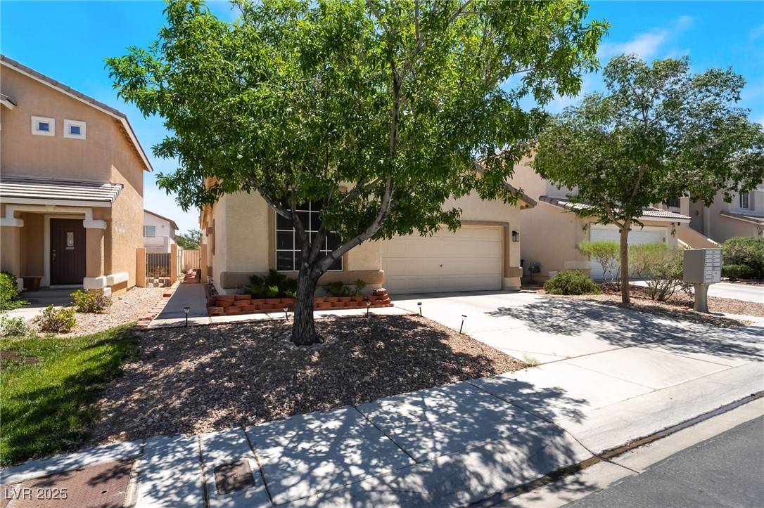 Las Vegas, NV 89148,7152 Brassica CT