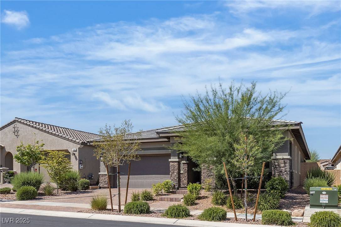 Henderson, NV 89011,789 Drammatico PL