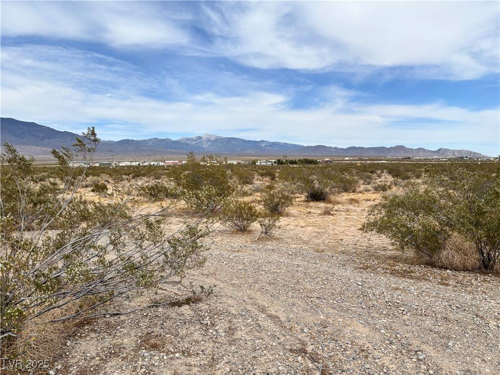 Pahrump, NV 89060,3221 N Chestnut PL