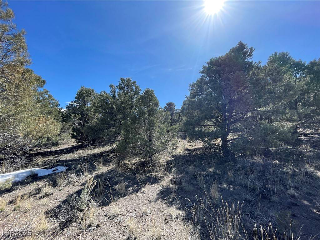 Ely, NV 89301,P-13 Butte Valley