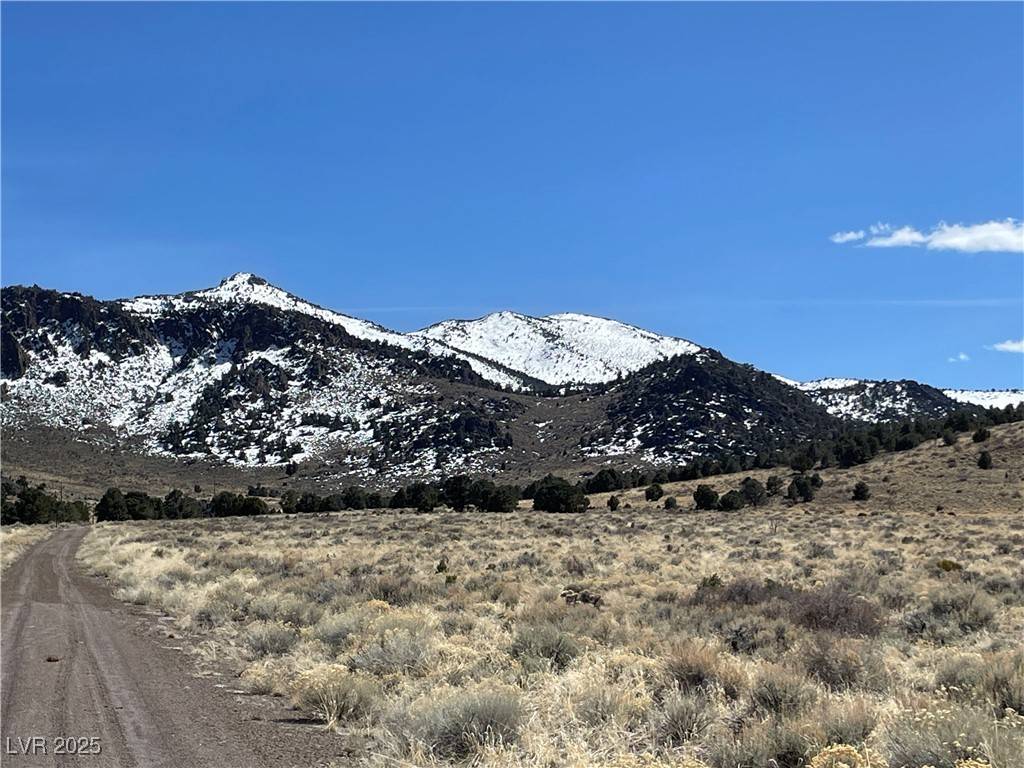 Ely, NV 89301,P-13 Butte Valley
