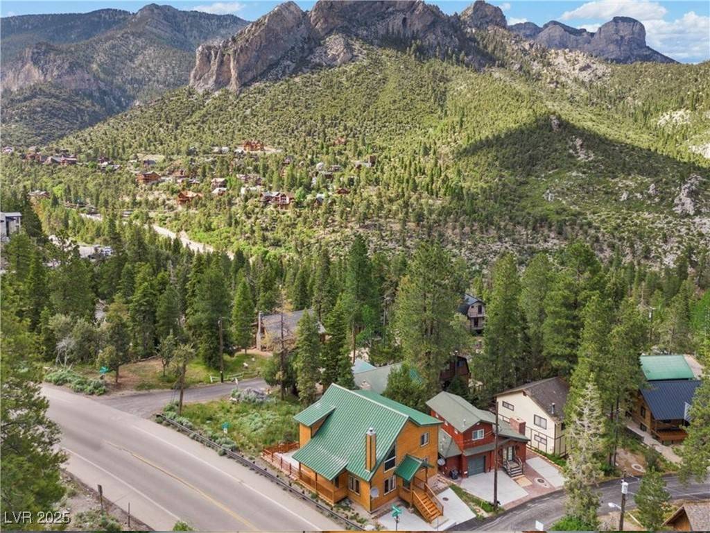 Mount Charleston, NV 89124,4830 Silver Tip WAY