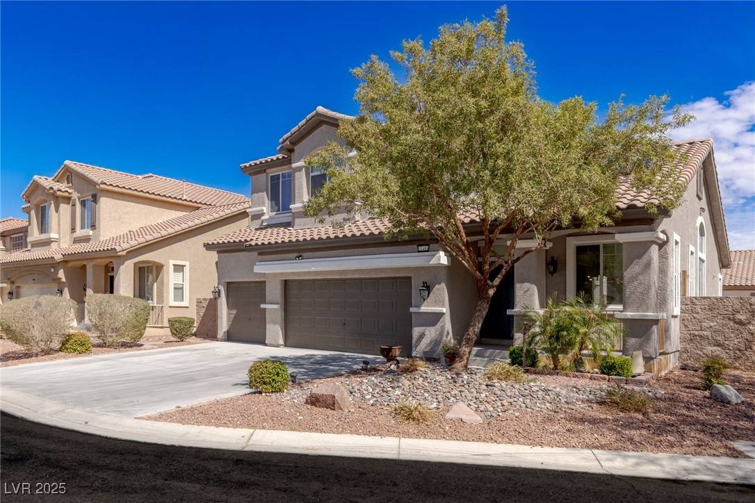 Las Vegas, NV 89141,11484 Roncat CT