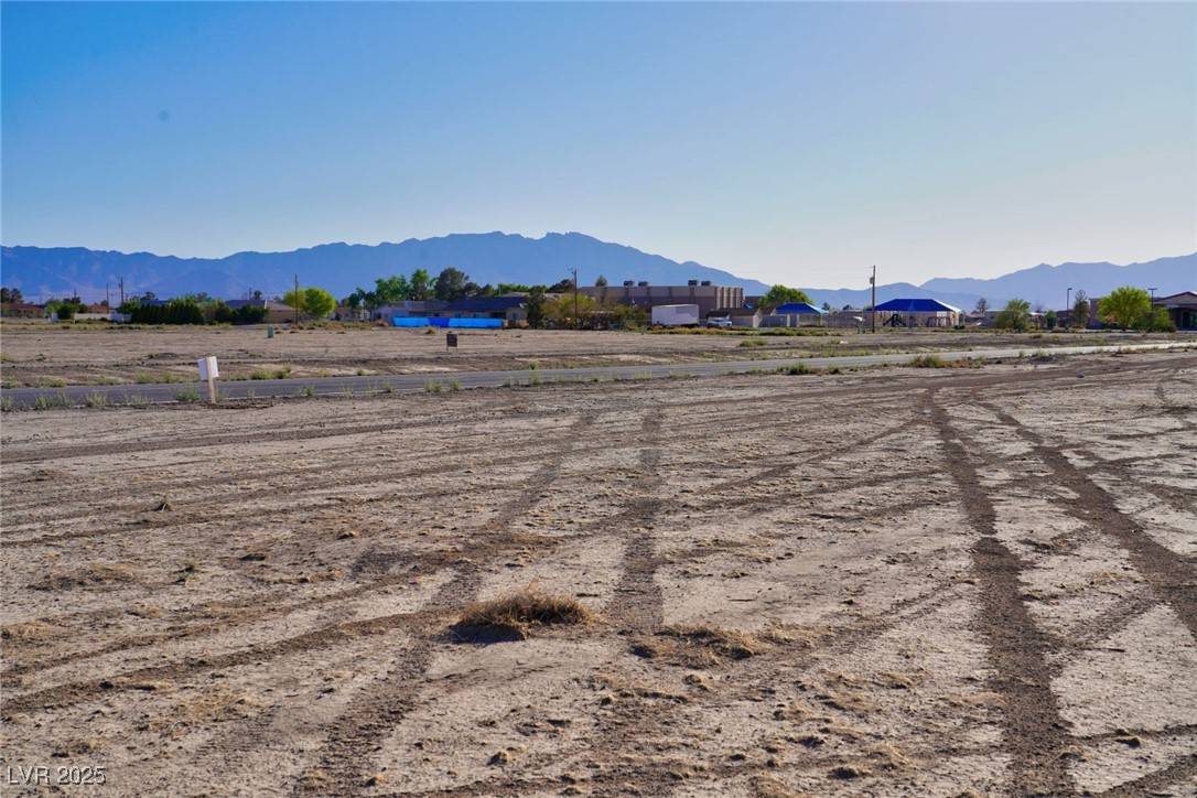 Pahrump, NV 89048,1110 E Honeysuckle ST