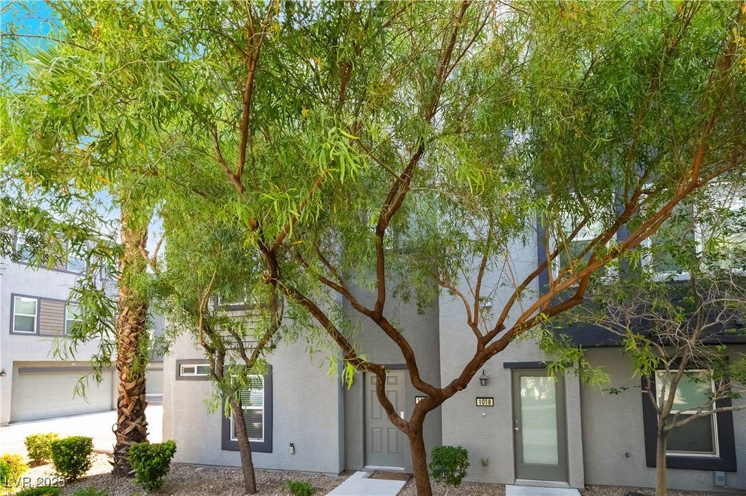 Las Vegas, NV 89147,9050 W Tropicana AVE #1017