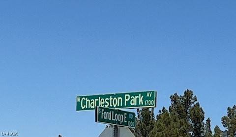 Pahrump, NV 89048,1660 W Charleston Park AVE