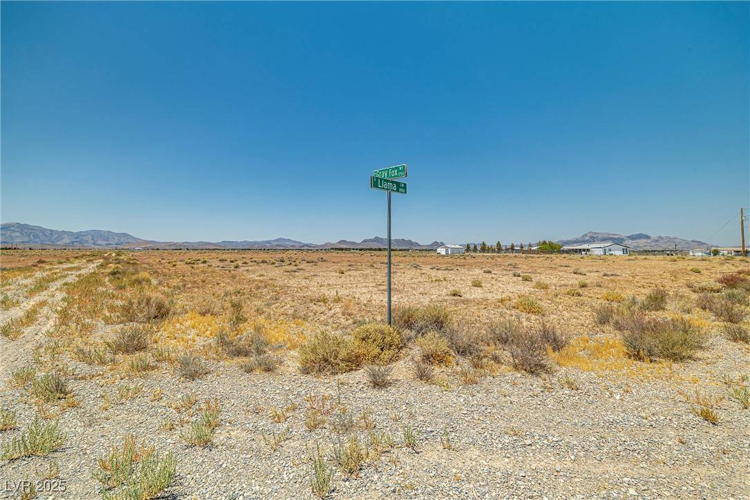Pahrump, NV 89048,1690 W Gray Fox WAY