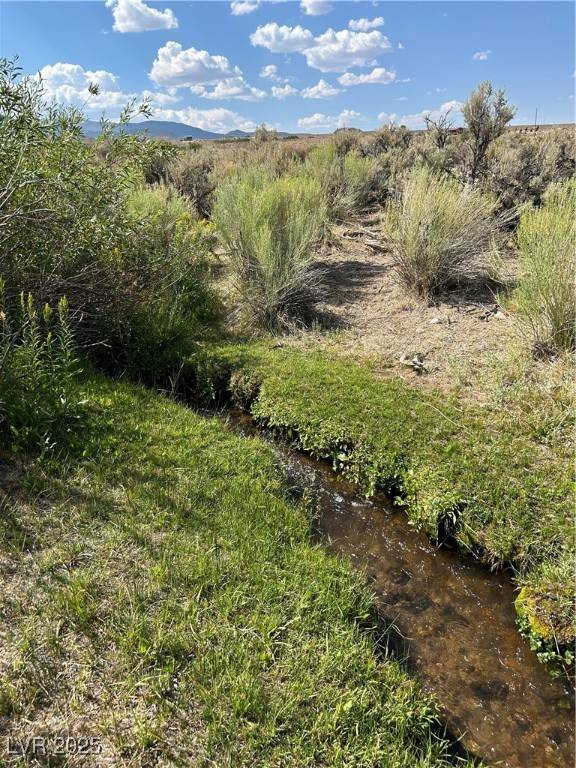 Dyer, NV 89010,780 DAVIS MEADOW TRL