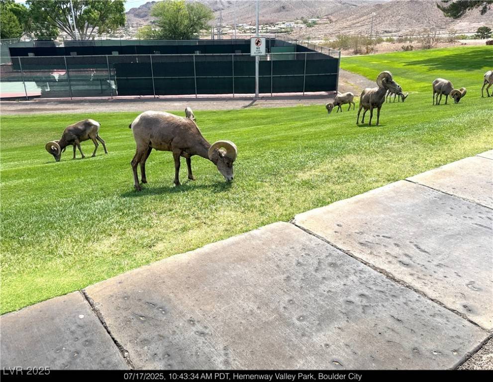 Boulder City, NV 89005,237 Garrett LN #2