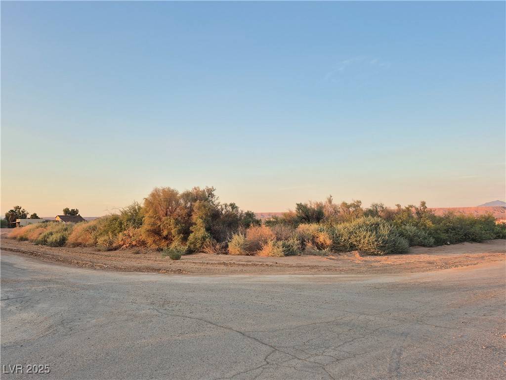 Overton, NV 89040,Yamashita