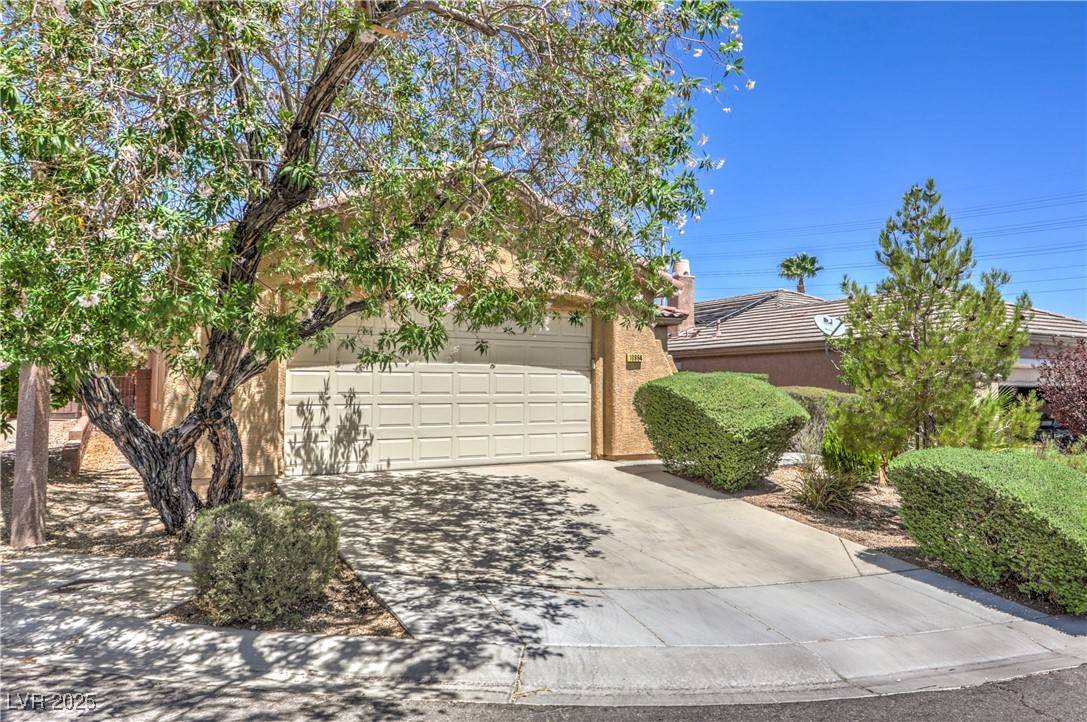 Las Vegas, NV 89135,10964 Snow Cloud CT