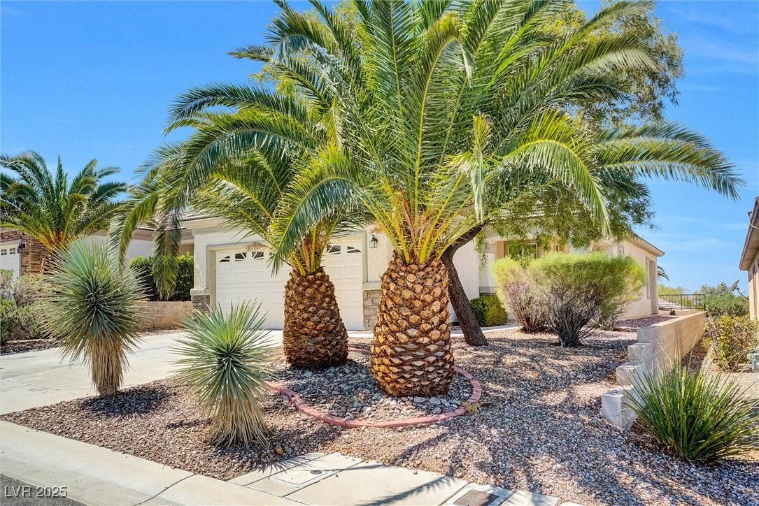 Henderson, NV 89044,2341 Celestial Moon ST