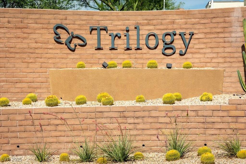 Las Vegas, NV 89135,4174 Salisto ST #0