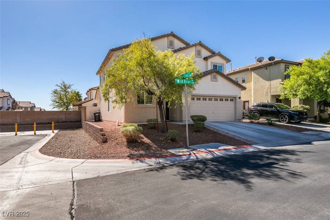 Las Vegas, NV 89143,9181 Wild Briar LN