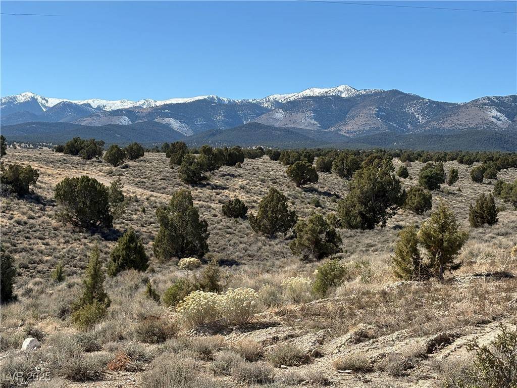 Ely, NV 89301,1494 S 20th West ST