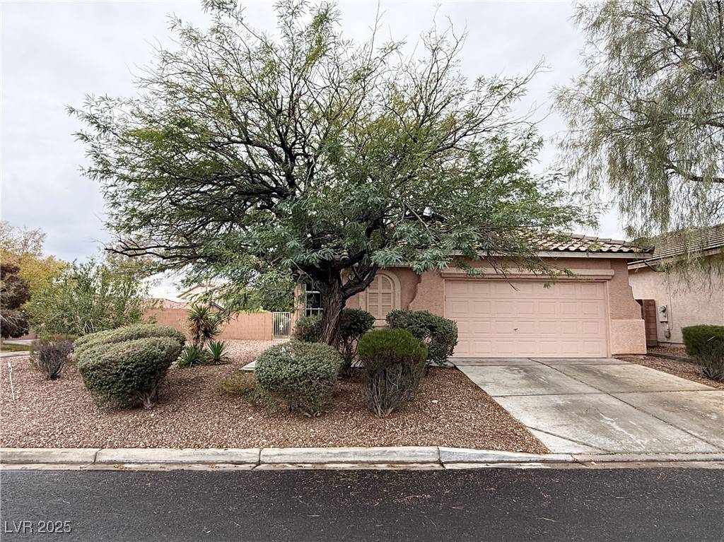 Las Vegas, NV 89135,10511 Broadhead CT
