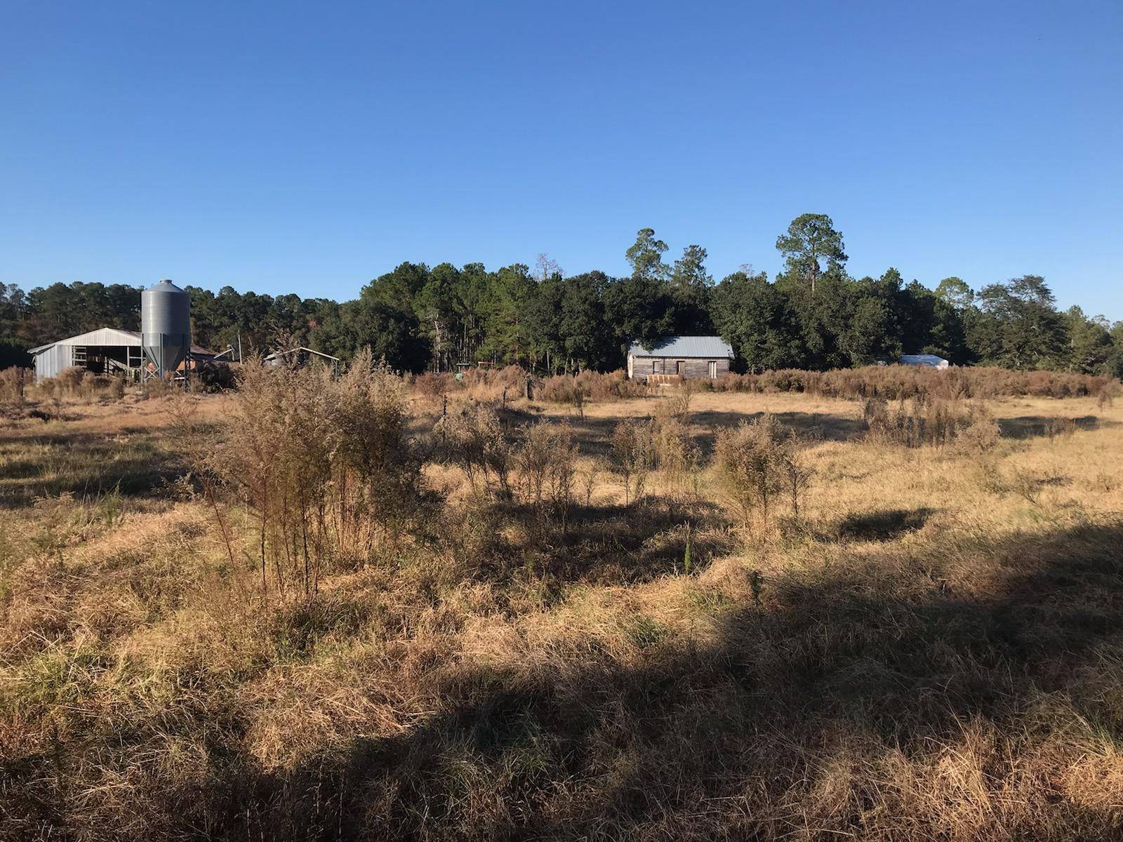 Walterboro, SC 29488,0 Pellum Rd.