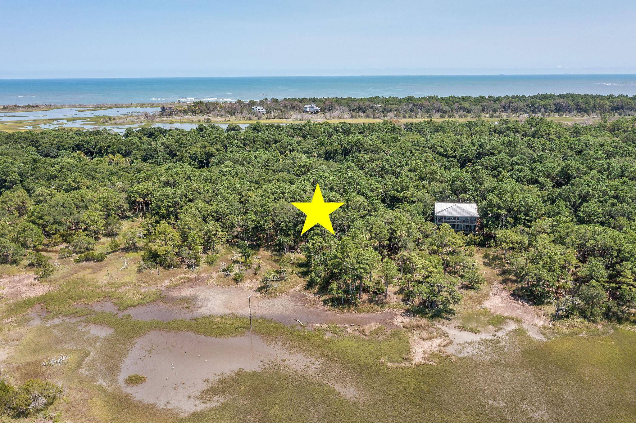 Dewees Island, SC 29451,318 Old House Lane #Lot 109
